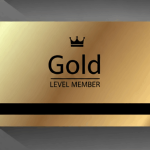 Gold Level Access: Fashion Show and Masquarade Ball