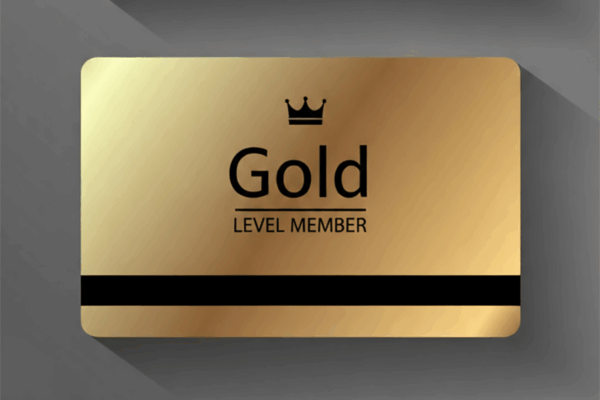 Gold Level Access: Fashion Show and Masquarade Ball